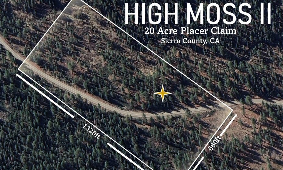 High Moss #91 — photograph 97 of the claim ground, Sierra County, California