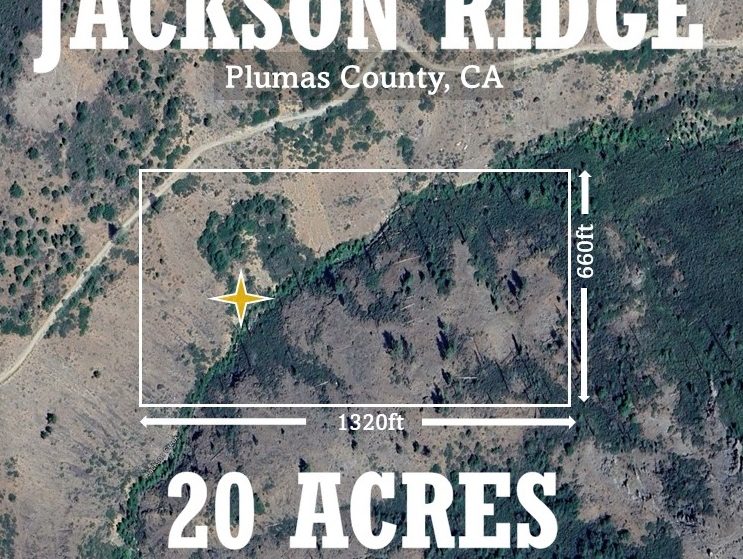 Jackson Ridge — photograph 1 of the claim ground, Plumas County, California