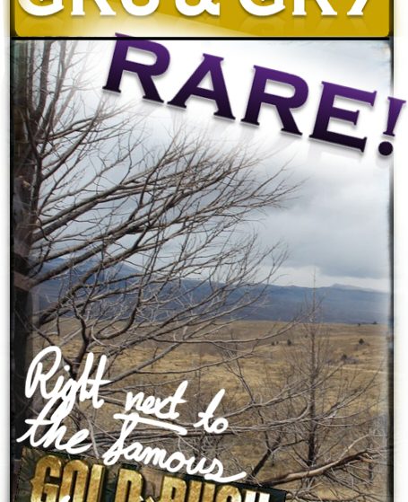 GR6 — listing card image, Humboldt County, Nevada