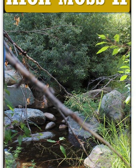 High Moss #91 — listing card image, Sierra County, California