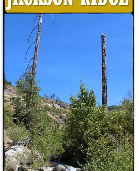 Jackson Ridge — listing card image, Plumas County, California