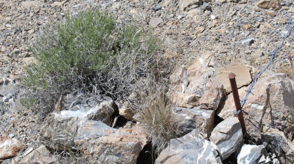 Silverwater — photograph 14 of the claim ground, Pershing County, Nevada