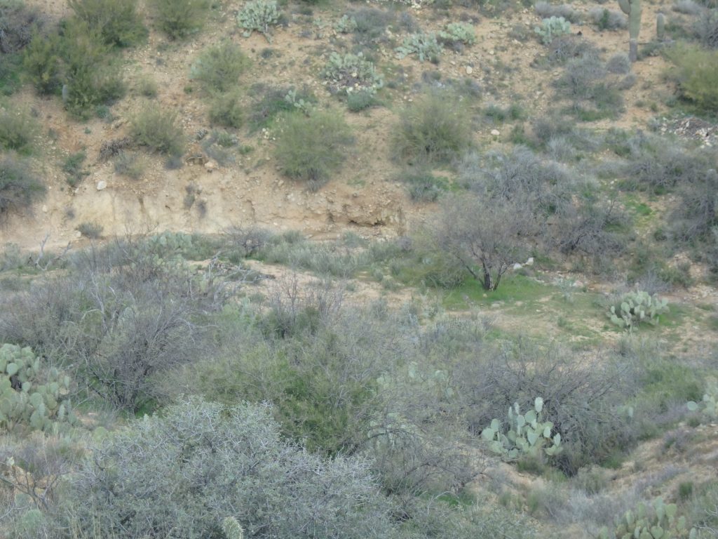 Gold Peak Mine — photograph 2 of the claim ground, Yavapai County, Arizona