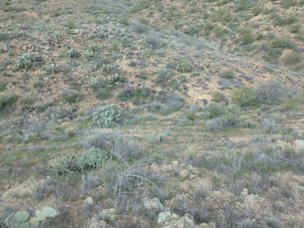 Gold Peak Mine — photograph 4 of the claim ground, Yavapai County, Arizona