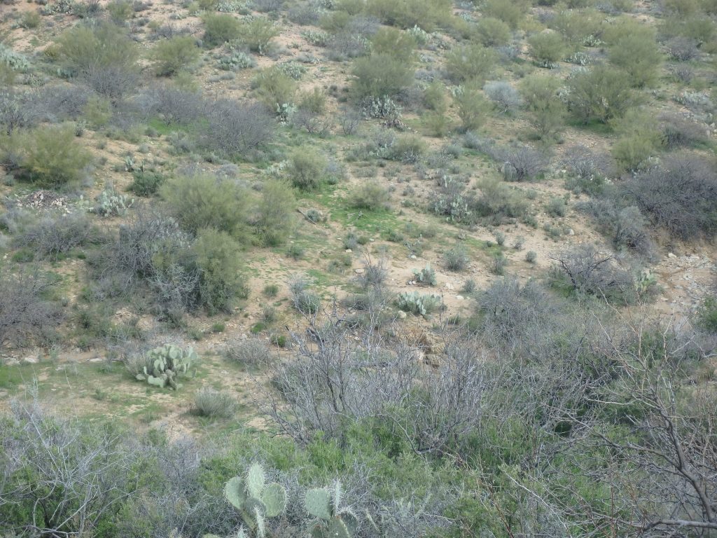 Gold Peak Mine — photograph 6 of the claim ground, Yavapai County, Arizona
