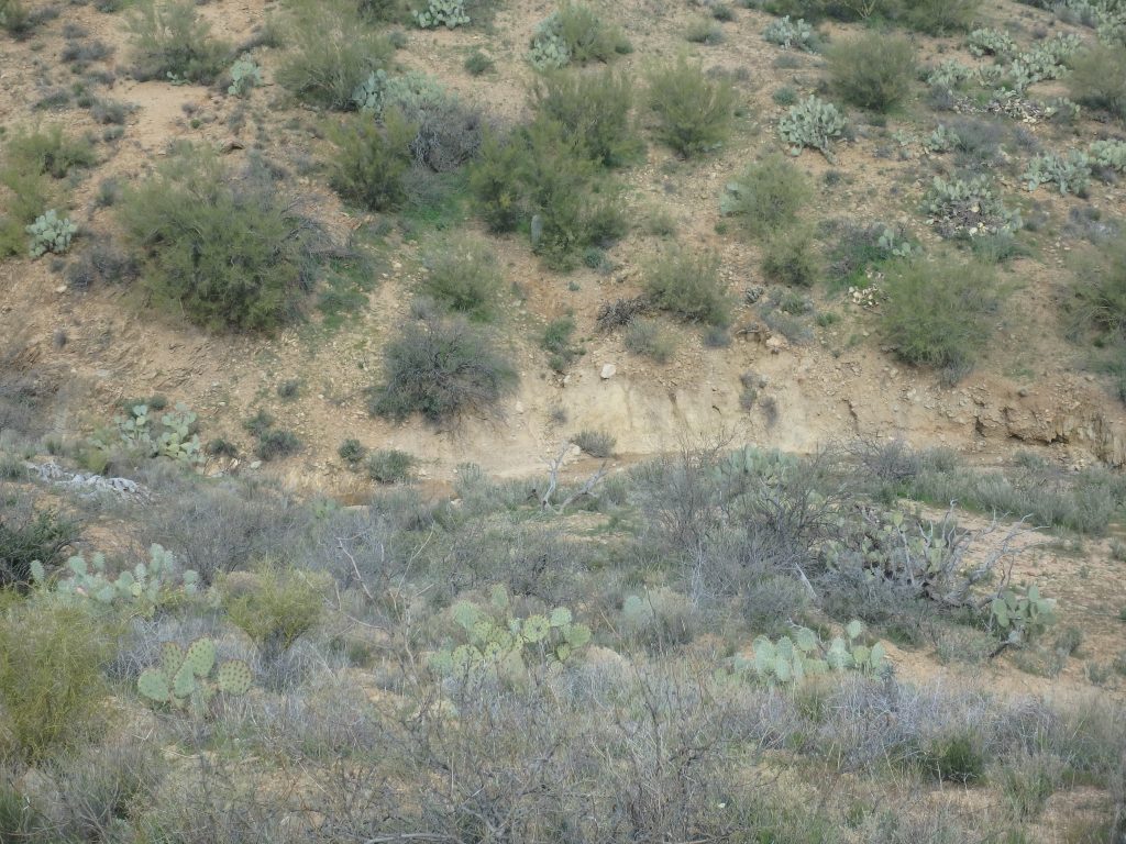 Gold Peak Mine — photograph 7 of the claim ground, Yavapai County, Arizona