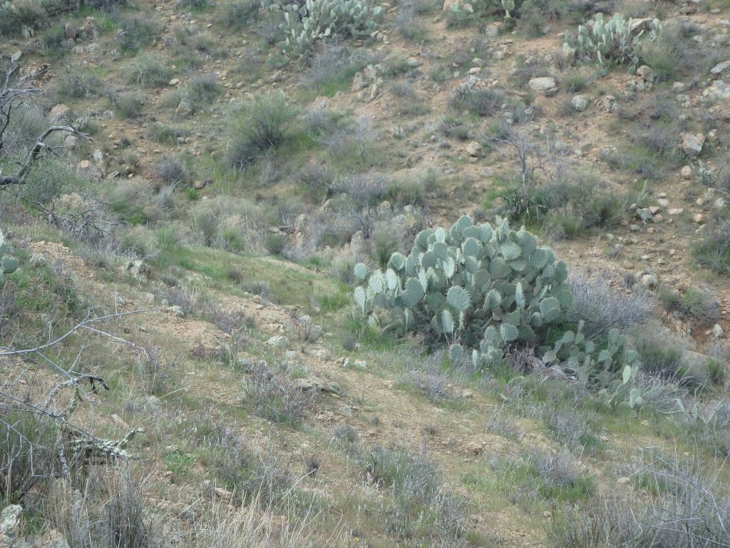 Gold Peak Mine — photograph 8 of the claim ground, Yavapai County, Arizona