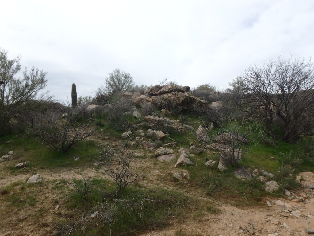Gold Peak Mine — photograph 13 of the claim ground, Yavapai County, Arizona