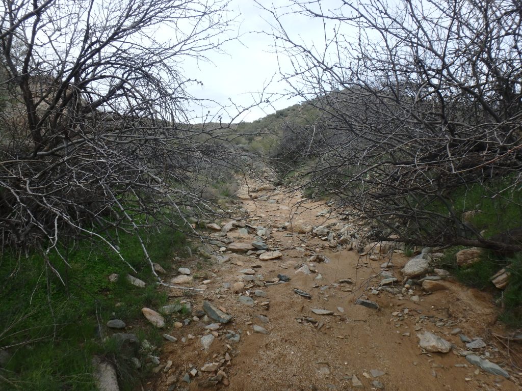 Gold Peak Mine — photograph 14 of the claim ground, Yavapai County, Arizona