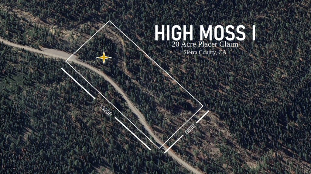 High Moss #91 — photograph 95 of the claim ground, Sierra County, California