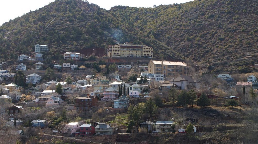 Bumblebee Gold #2 — Jerome Az 1000X559
