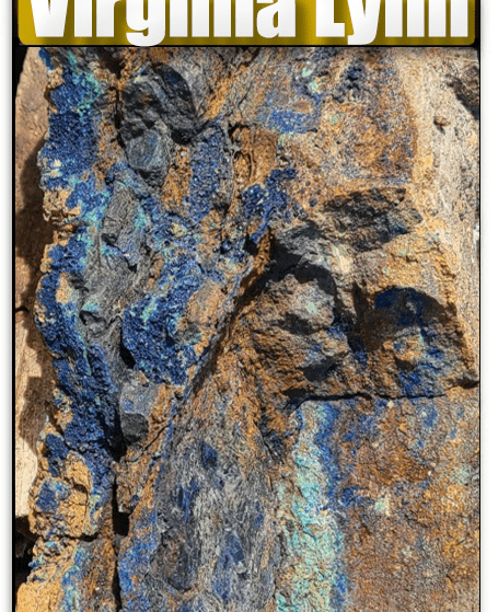The Virginia Lynn lode mining claim in Dolores County, Colorado