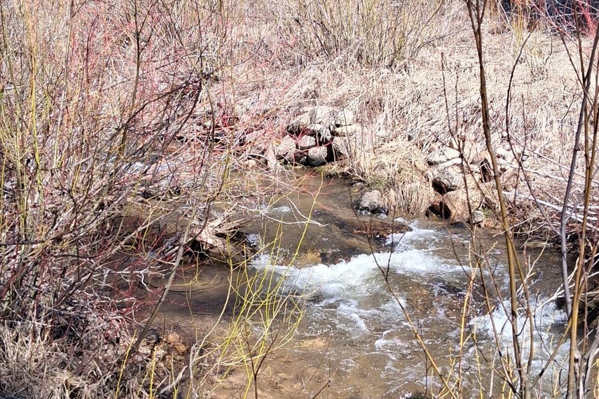 The creek running through the Boulder #2 & #3 lode claims in Boise County, Idaho