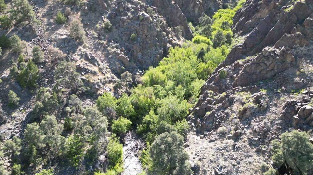 Belcher Canyon aerial drone photo 568