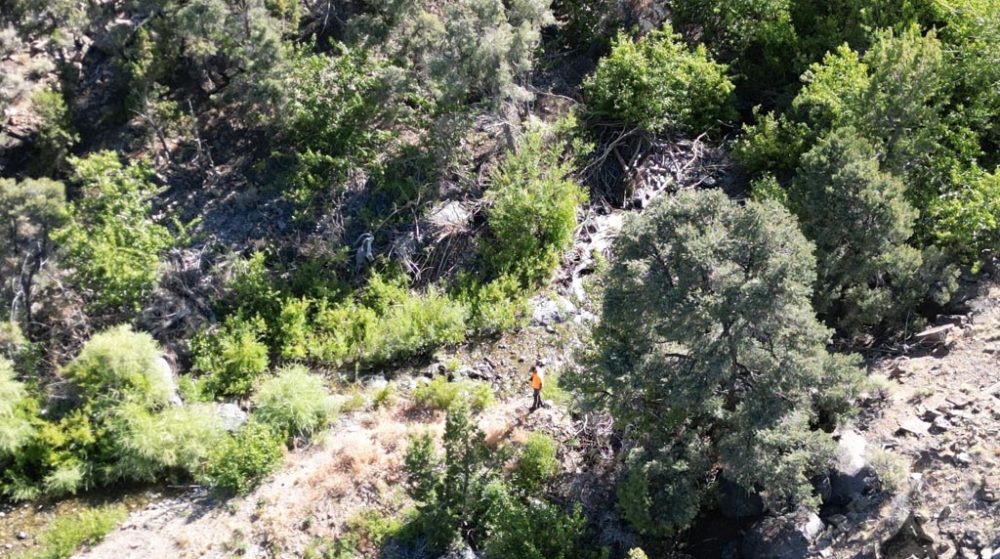 Belcher Canyon aerial drone photo 573