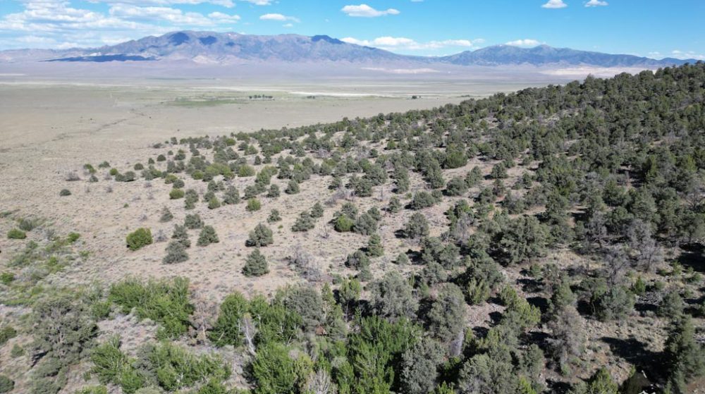 Belcher Canyon aerial drone photo 574