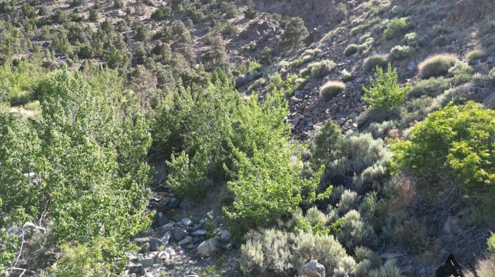 Belcher Canyon aerial drone photo 580