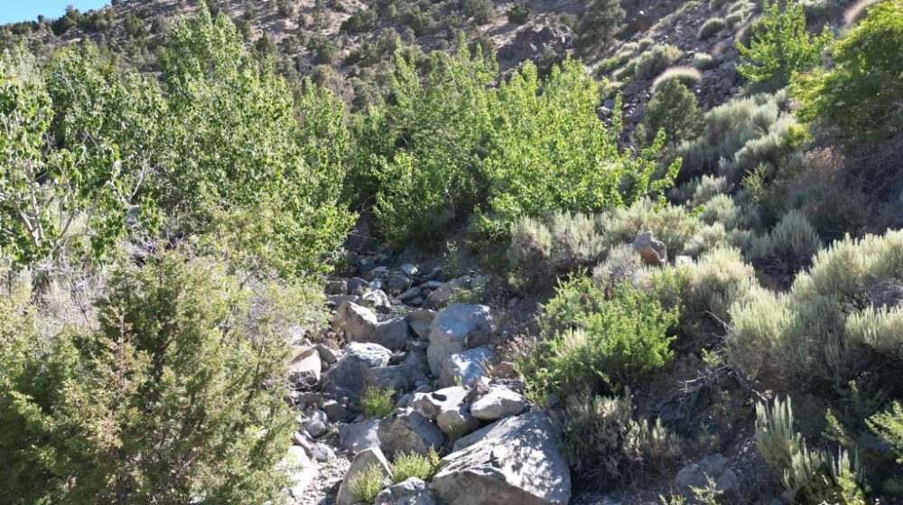 Belcher Canyon aerial drone photo 581