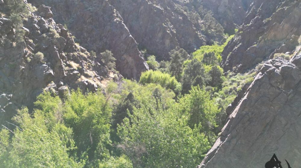 Belcher Canyon aerial drone photo 589