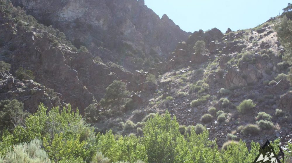 Belcher Canyon ground photo 7638