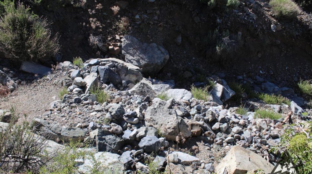 Belcher Canyon ground photo 7644
