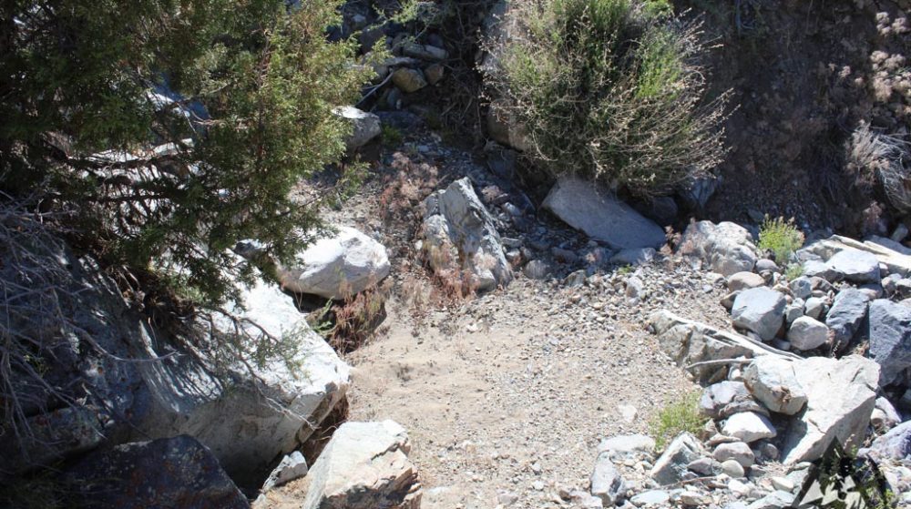 Belcher Canyon ground photo 7645