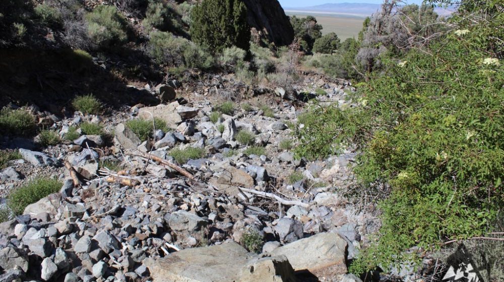 Belcher Canyon ground photo 7646