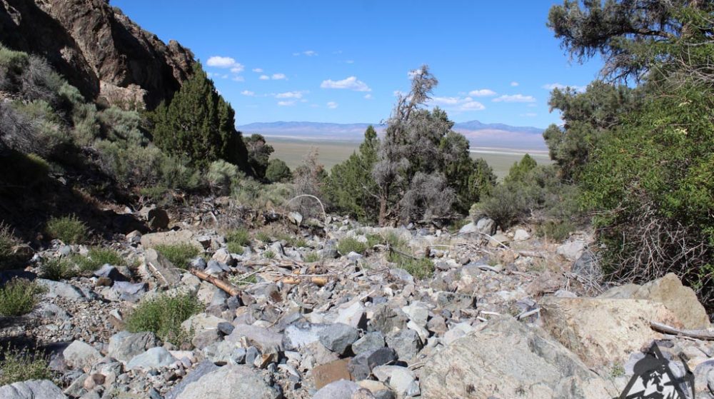Belcher Canyon ground photo 7648