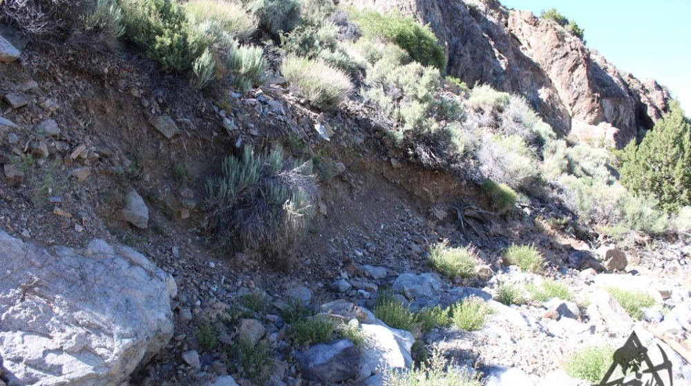 Belcher Canyon ground photo 7649