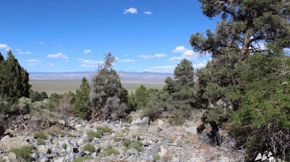 Belcher Canyon ground photo 7651