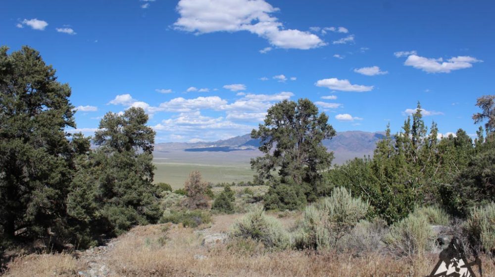 Belcher Canyon ground photo 7652