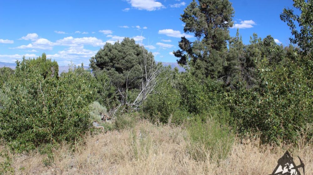 Belcher Canyon ground photo 7653