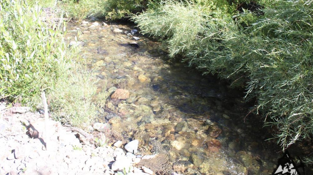 Belcher Canyon ground photo 7657