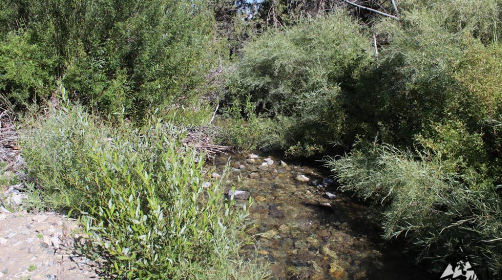Belcher Canyon ground photo 7658