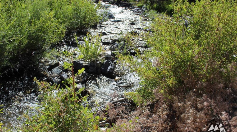 Belcher Canyon ground photo 7660
