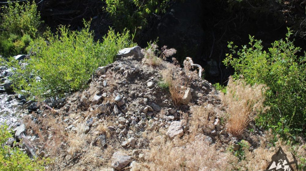 Belcher Canyon ground photo 7663