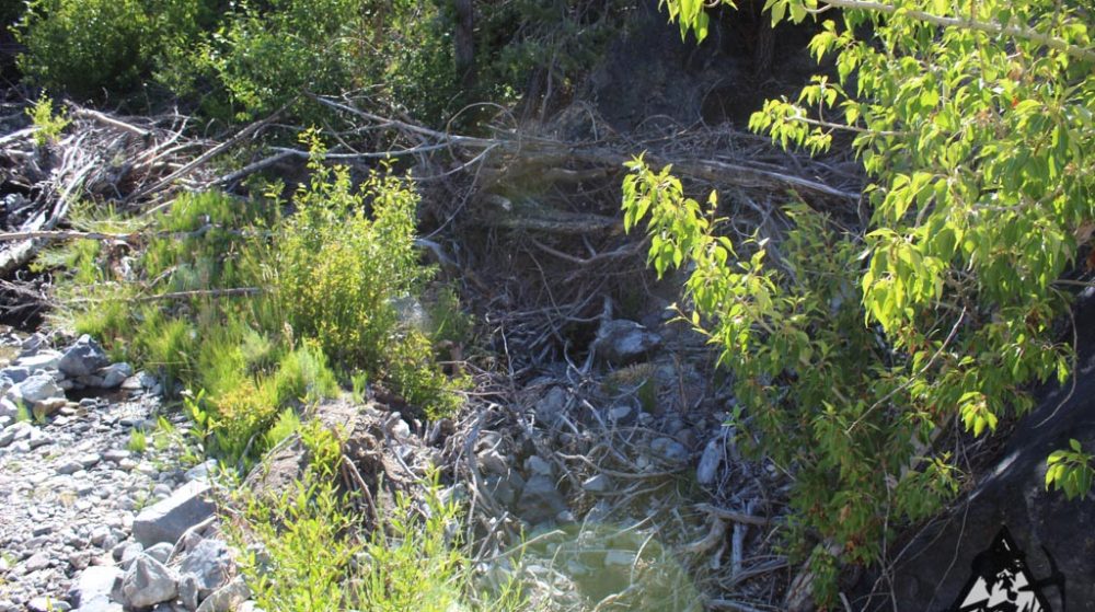 Belcher Canyon ground photo 7664
