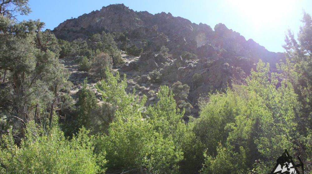 Belcher Canyon ground photo 7668