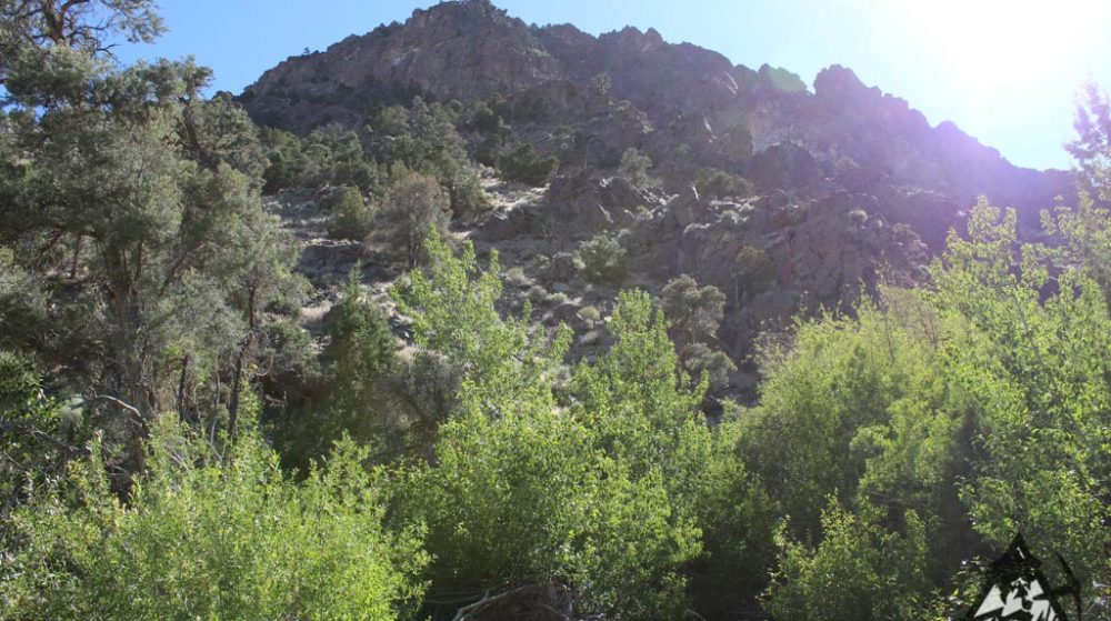 Belcher Canyon ground photo 7669