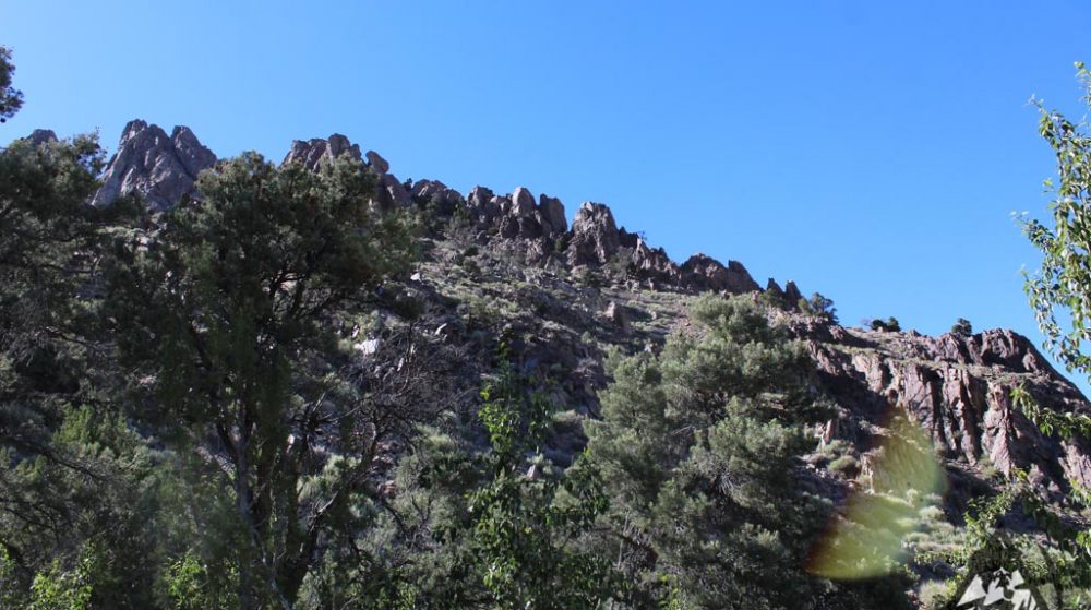 Belcher Canyon ground photo 7673