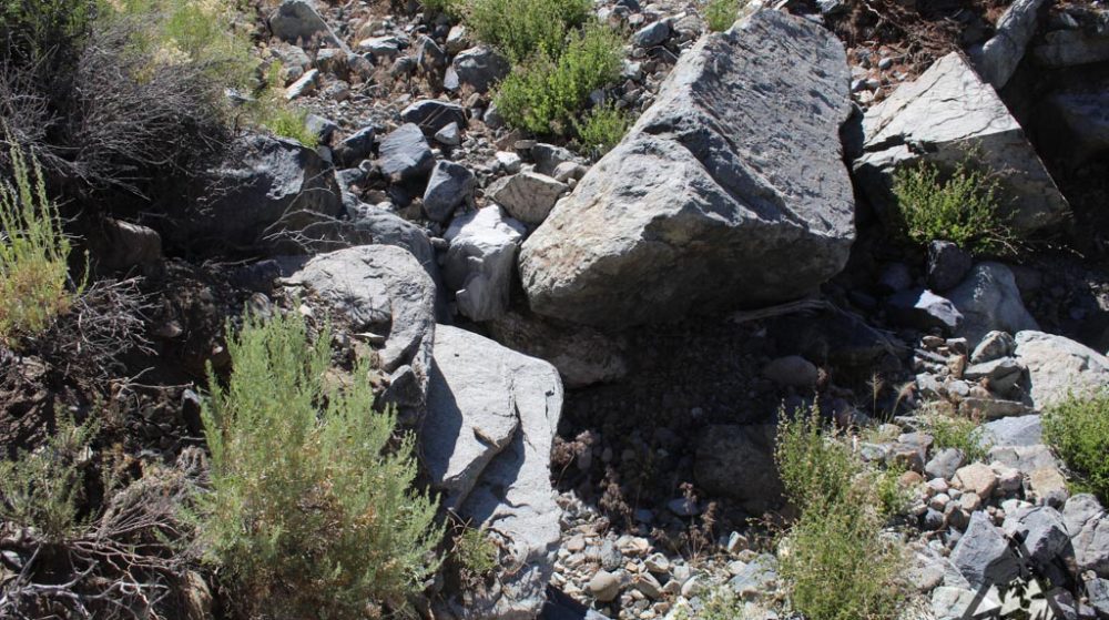 Belcher Canyon ground photo 7675
