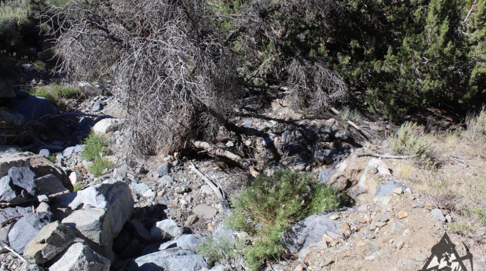Belcher Canyon ground photo 7677