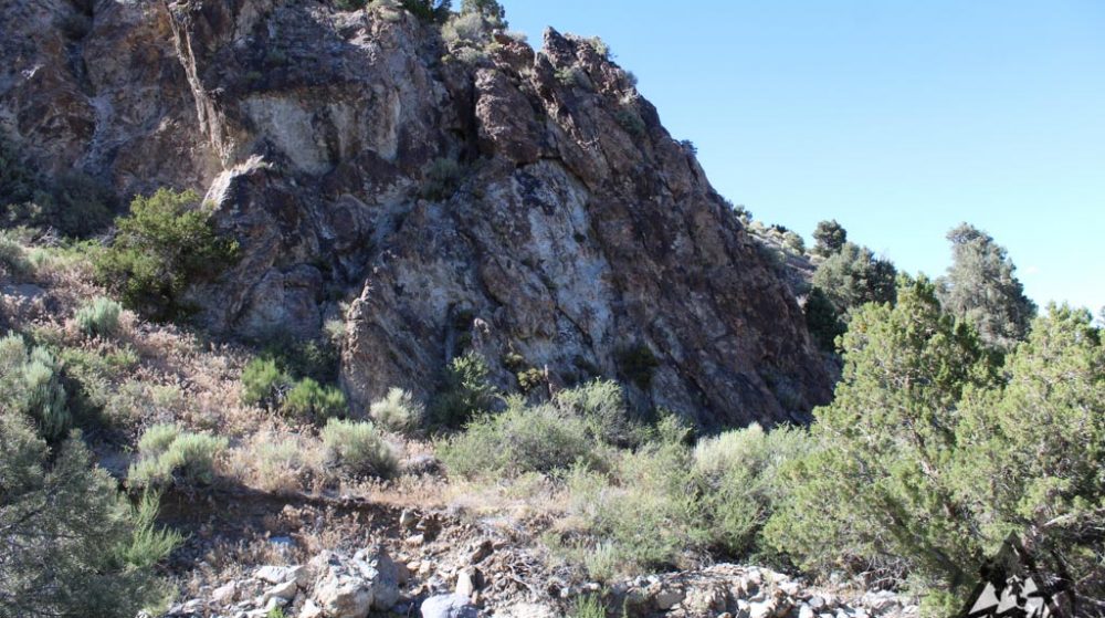 Belcher Canyon ground photo 7678