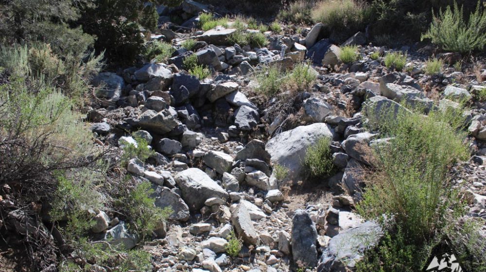Belcher Canyon ground photo 7679