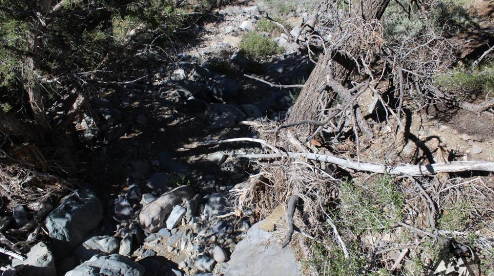 Belcher Canyon ground photo 7680