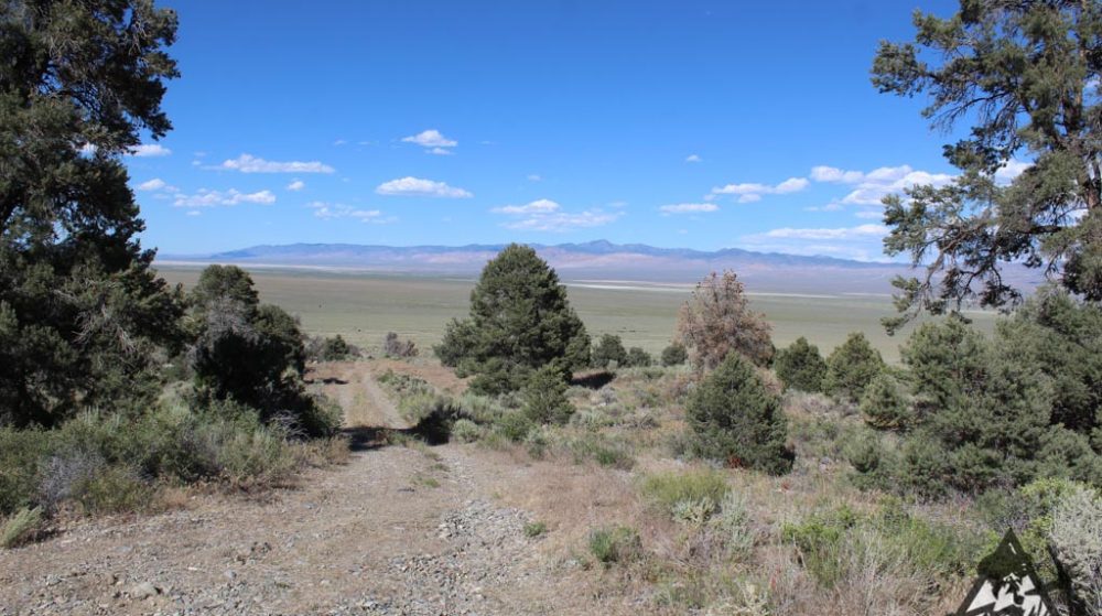 Belcher Canyon ground photo 7681