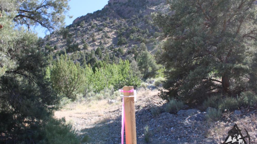 Belcher Canyon ground photo 7682