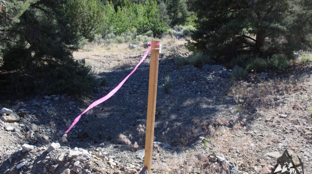 Belcher Canyon ground photo 7683