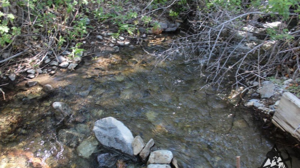 Belcher Canyon ground photo 7687