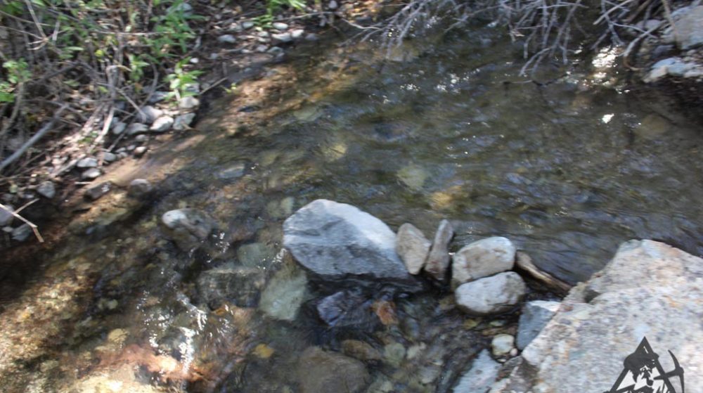 Belcher Canyon ground photo 7689